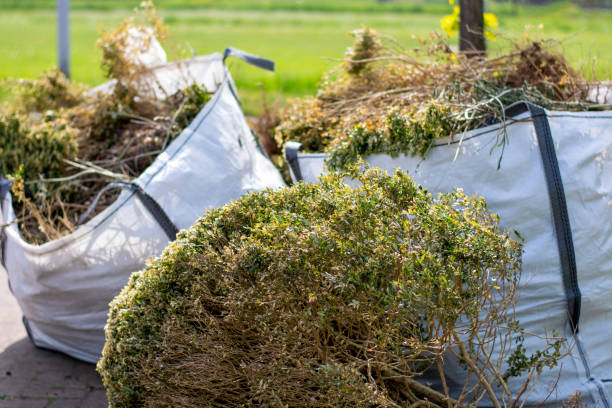 Best Office Junk Removal  in Olathe, CO